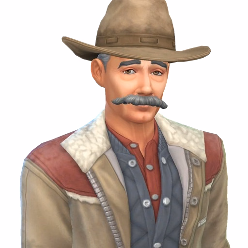 Don gooseman