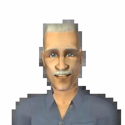 Grunt chip