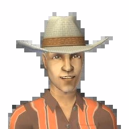 Grunt mikesteel